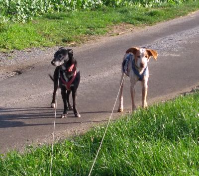 Leslie und Toby