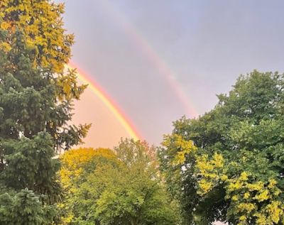 Neues 1. Quartal 2026